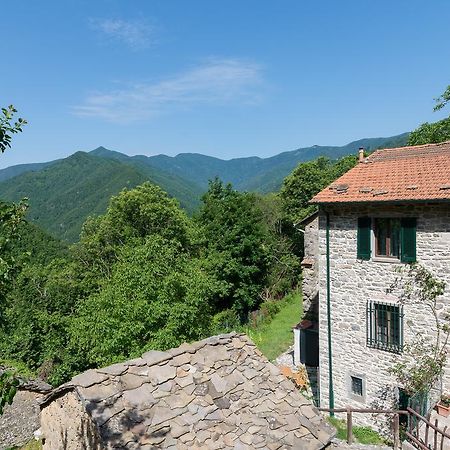 La Casa Nel Bosco-Senza Auto Vendégház Ponte della Venturina Kültér fotó