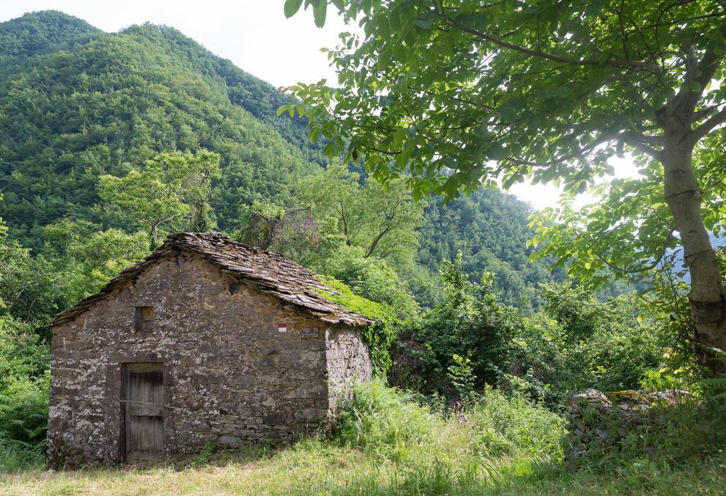 La Casa Nel Bosco-Senza Auto Vendégház Ponte della Venturina Kültér fotó